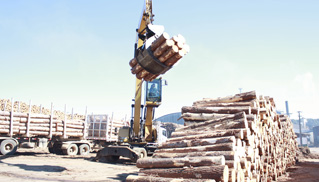 Wood International Ltd